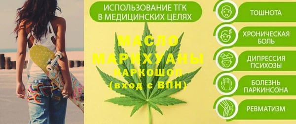 индика Волоколамск