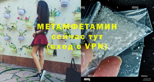 индика Волоколамск