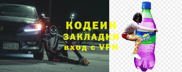 индика Волоколамск