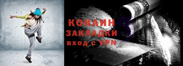 гидра Вяземский