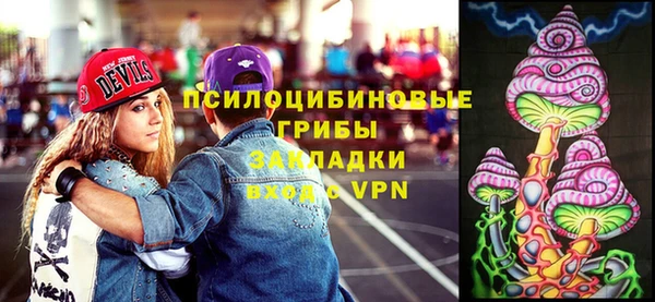 гидра Вяземский