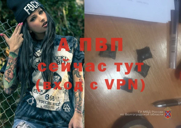 дмт Володарск