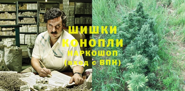 индика Волоколамск