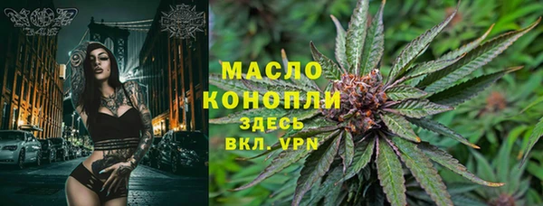 индика Волоколамск