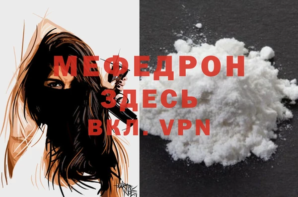 индика Волоколамск