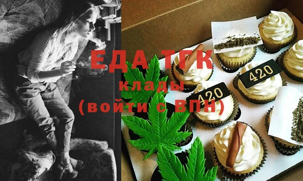 гидра Вяземский